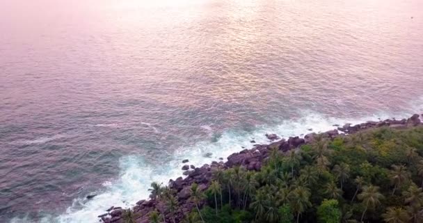 Uitzicht vanuit de lucht op het gezellige witte zandstrand met turquoise helder zeewater. Sri Lanka uitzicht op het strand vanuit de lucht, Mirissa — Stockvideo