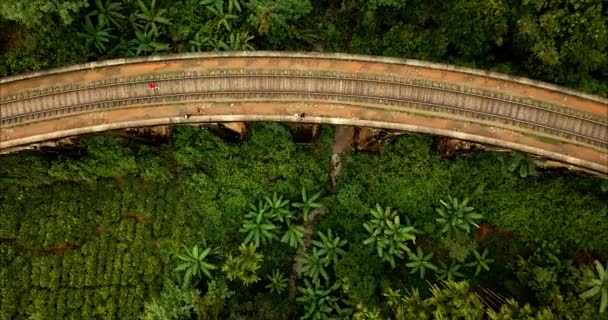Aerial view of old railway road on nine arches bridge in Sri Lanka. Travel destination in tropical jungle, famous place. Drone point of view — Stock Video