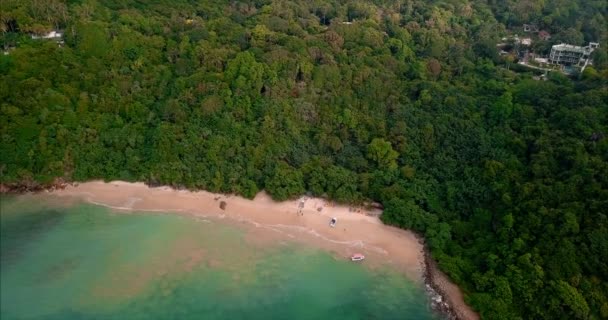 Tropisch strand met zee en palm van drone. Strand van Sri Lanka - luchtfoto — Stockvideo