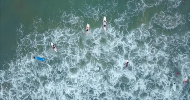Aerial view of a lot surfers in blue ocean. Top view — Stock Video