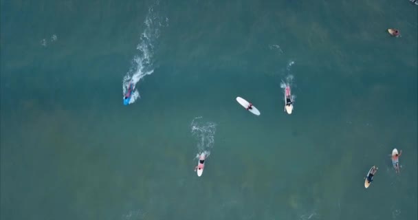 青い海にはサーファーがたくさんいる。ドローン撮影 — ストック動画