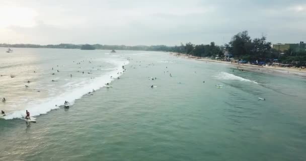 Surfers on waves in Indian ocean, εναέρια άποψη από ψηλά, Σρι Λάνκα — Αρχείο Βίντεο