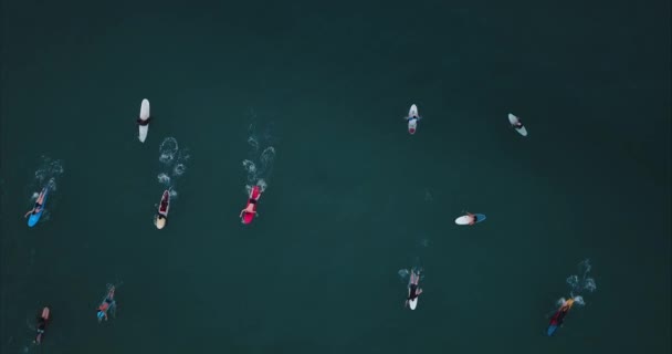 Surfers peddelen voor het vangen van golven tijdens het surfen in de Indische Oceaan, 4k — Stockvideo