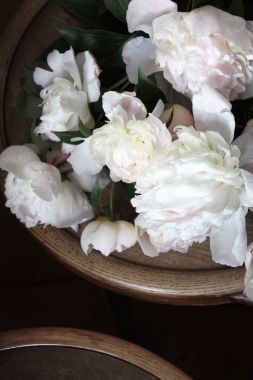 Ahşap sandalye üzerinde beyaz ve soluk pembe peonies buket. Sevgililer günü mükemmel çiçek. Güzel kremsi peonies çiçek sınır tasarım portre. Ahşap arka plan. Düğün ya da Sevgililer hediye. Güzel çiçek grup ile sanat tasarım.