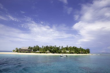 Palmiye ağaçları ve mavi gökyüzü olan güzel tropikal plaj