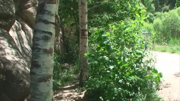 Kirgizië. 2014, de maand augustus, Tien Shan gebergte mensen lopen op het pad langs de bergwand — Stockvideo