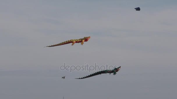 Drachen steigen hoch in den Himmel — Stockvideo