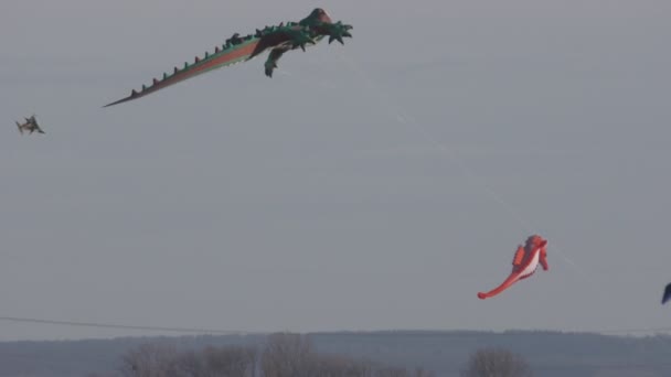 Drachen steigen hoch in den Himmel — Stockvideo