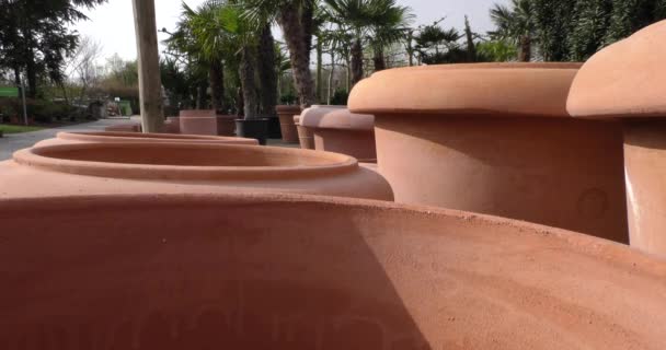 植物のための陶磁器の鍋 — ストック動画