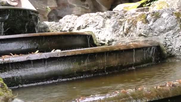 El agua fluye sobre las rocas — Vídeos de Stock