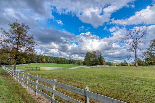 Bílý plot na poli s holými stromy na podzim — Stock fotografie
