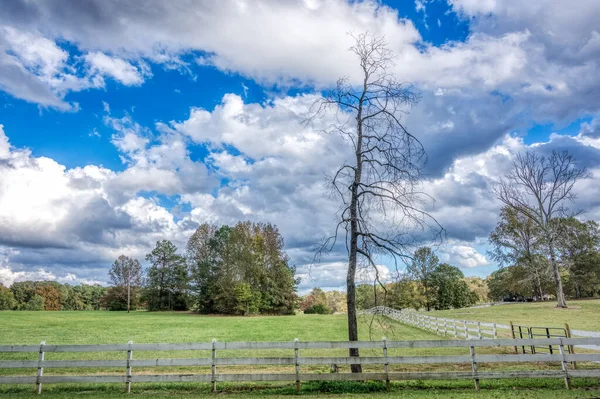 Cerca blanca en un campo con árboles desnudos en el otoño — Foto de Stock