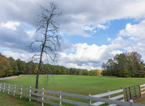 Fehér kerítés egy mezőn csupasz fák ősszel — Stock Fotó