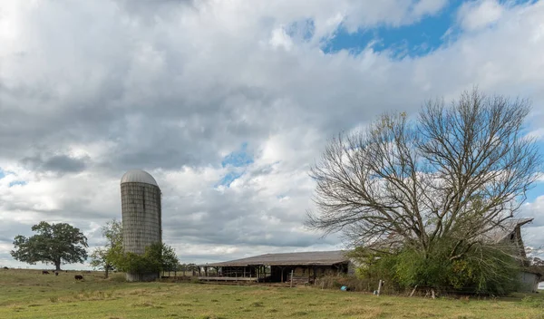 Granero y silo en un campo con árboles en Carolina del Norte rural — Foto de Stock