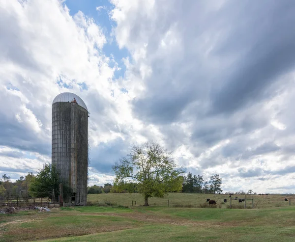 Antiguo silo en campo abierto rodeado de hierba — Foto de Stock