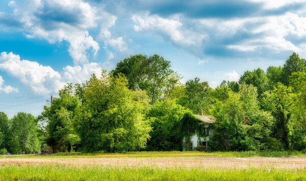 Dilapidated, rundown old farmhouse in field surrounded by trees