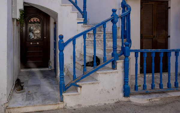 2 gatos acostados en escaleras con barandilla azul delante de un tra — Foto de Stock