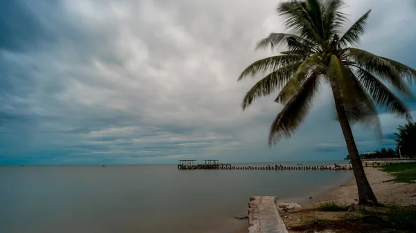 Palmeira e passarela em frente à antiga doca de pesca Dilapidada — Fotografia de Stock