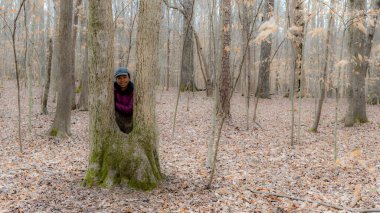 Kuzey Carolina 'da, Orange County' de bir kış günü ağaç gövdesinin arasında duran Asyalı kadın.