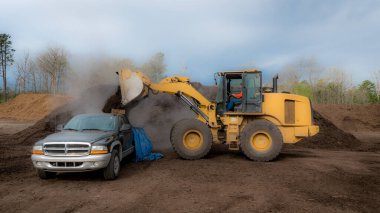 Front end loader dropping load of mulch onto bed of black pickup truck at the dump in Orange County, North Carolina clipart