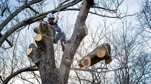 Worker Chainsaw Helmet Hanging Rope Cutting Tree — Stock Photo, Image