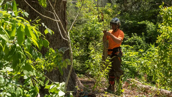 Travailleur Debout Chemise Orange Pied Arbre Tandis Que Travailleur Est — Photo