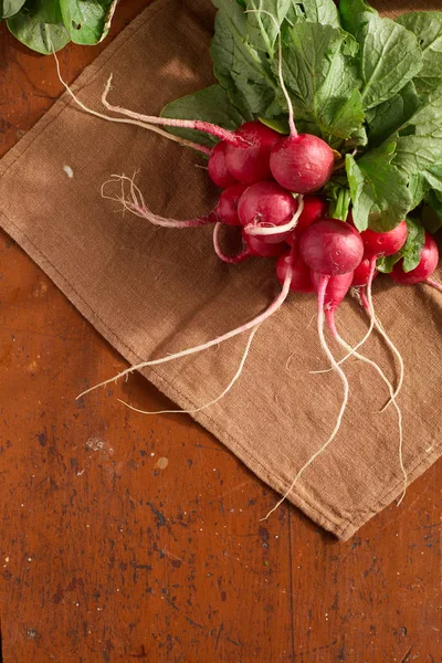 Bunch of Fresh radishes — Stock Photo, Image