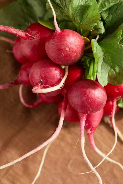 Bunch of Fresh radishes — Stock Photo, Image