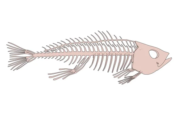 2D tecknad illustration av fisk skelett — Stockfoto