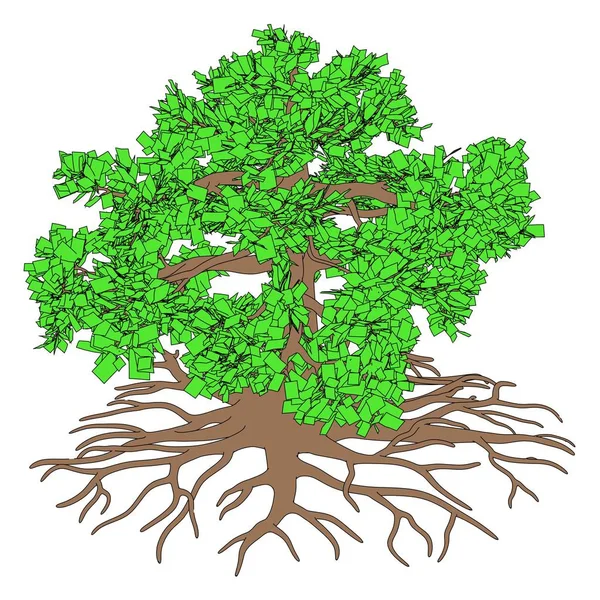 2d cartoon illustration of oak — Stock Photo, Image