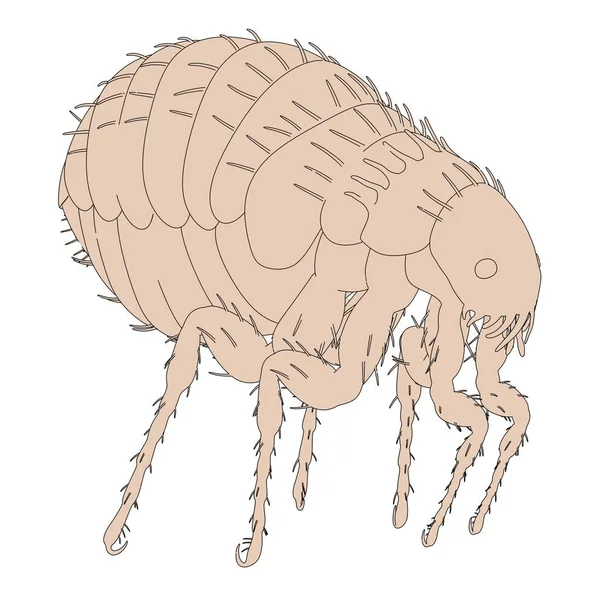 Desenho animado 2d ilustração da pulga — Fotografia de Stock