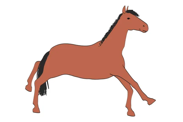 2D мультяшна ілюстрація коня — стокове фото