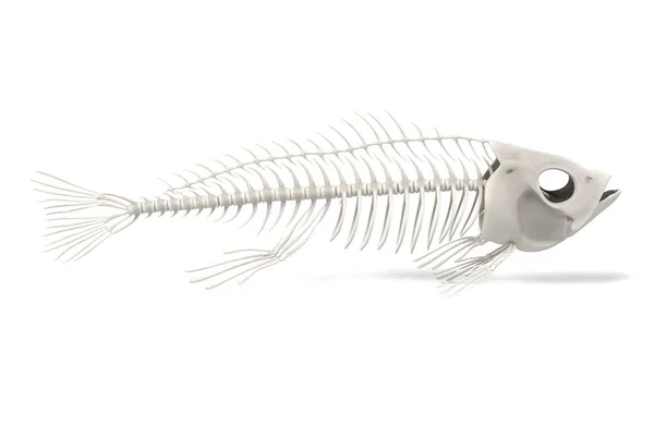 Balık iskeletin gerçekçi 3d render — Stok fotoğraf