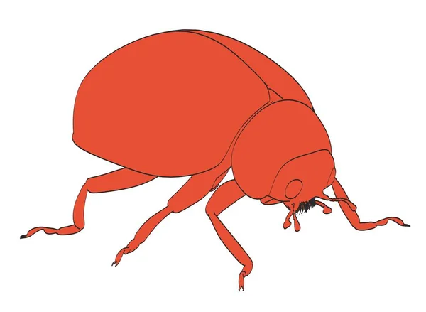 てんとう虫の 2 d 漫画イラスト — ストック写真