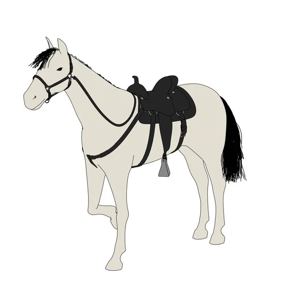 2d cartoon illustration of horse — Stock Photo, Image