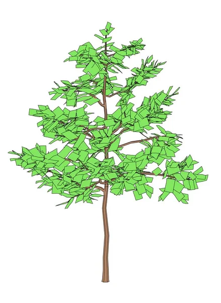 2d cartoon illustration of young oak — Stock Photo, Image