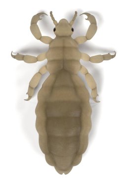 Lice, Diyarbakır gerçekçi 3d render