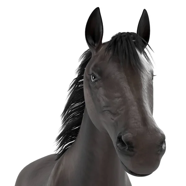 黒い馬のリアルな 3 d レンダリングします。 — ストック写真