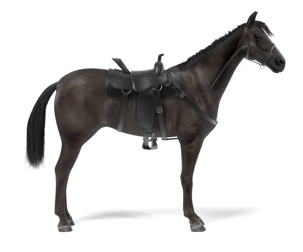 Realistische 3d render van paard — Stockfoto