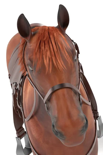 Renderizado 3d realista de caballo —  Fotos de Stock