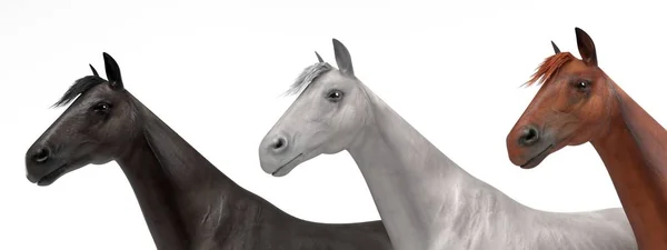 Realistické 3d vykreslení koní — Stock fotografie
