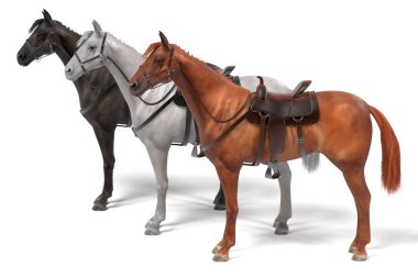Atların gerçekçi 3d render