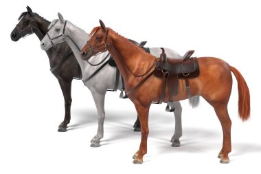 realistic 3d render of horses clipart