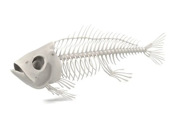 Realistische 3d render van vis skelet — Stockfoto