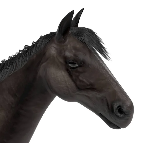 Renderização 3d realista de cavalo preto — Fotografia de Stock