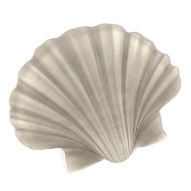 Pecten Albicans (Japon tarak pişirme gerçekçi 3d render)