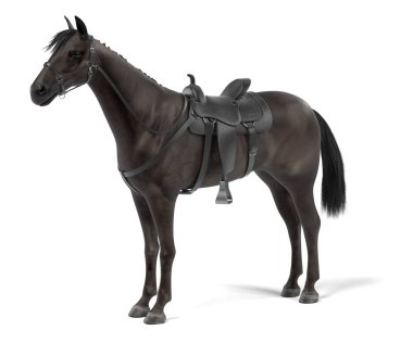 at gerçekçi 3d render