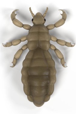 Lice, Diyarbakır gerçekçi 3d render