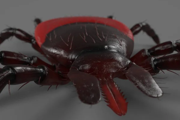 Realistic 3d render of tick — Stock Photo, Image