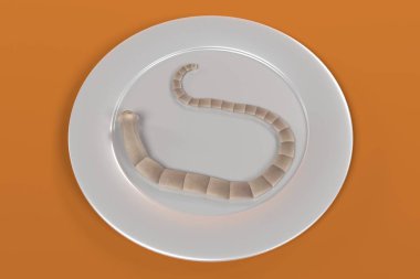 3d render of tapeworm on plate clipart